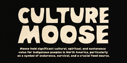Weird Vault Font Poster 2