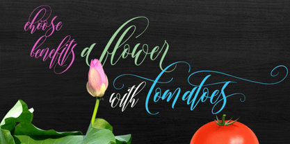 Catherelle Font Poster 5