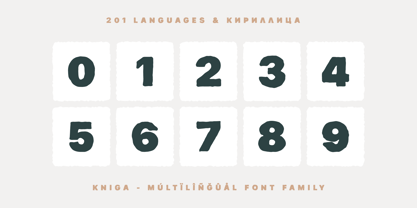 Kniga Font Poster 12
