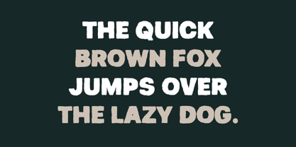 Kniga Font Poster 14
