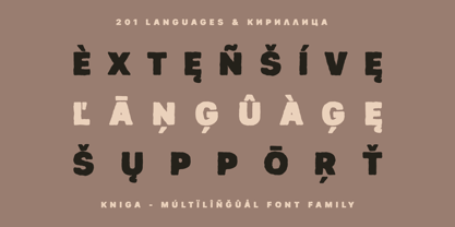 Kniga Font Poster 3