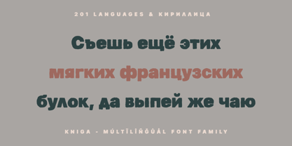 Kniga Font Poster 9