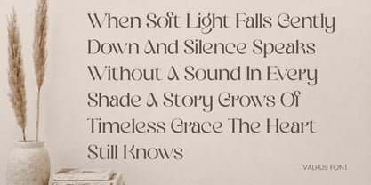Valrus Font Poster 10