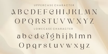 Valrus Font Poster 3