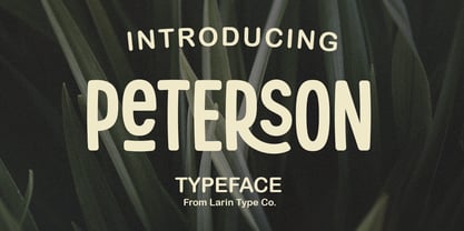 Peterson Font Poster 1