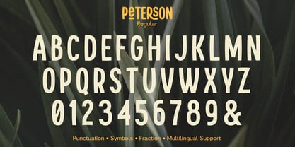 Peterson Font Poster 11