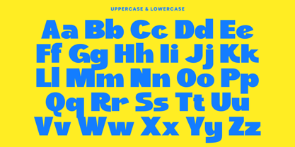 Kaella Font Poster 4