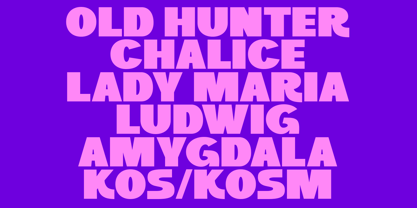Kaella Font Poster 7