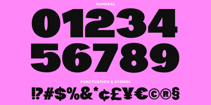 Kaella Font Poster 8
