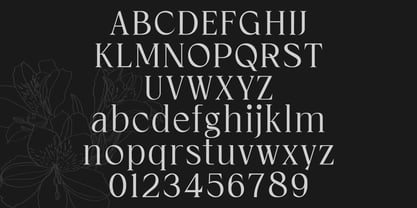 Cardival Font Poster 9