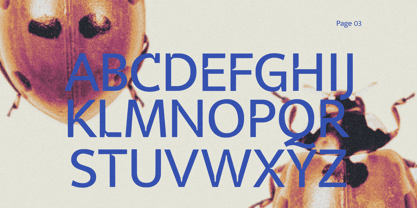 Veyla Font Poster 3