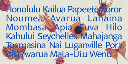 Veyla Font Poster 11