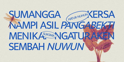 Veyla Font Poster 12