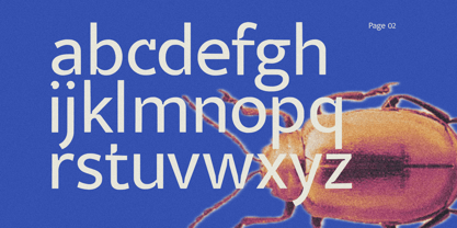 Veyla Font Poster 2