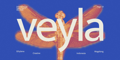 Veyla Font Poster 1