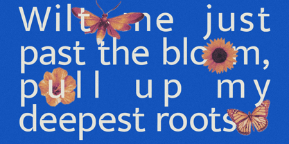 Veyla Font Poster 5
