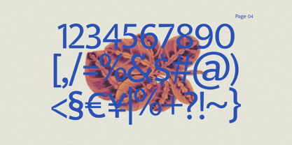 Veyla Font Poster 4