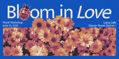 Veyla Font Poster 10
