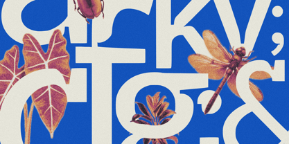 Veyla Font Poster 9