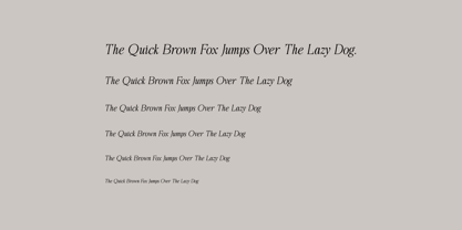 JengYah Font Poster 13