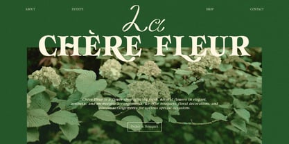 Larolinea Font Poster 10
