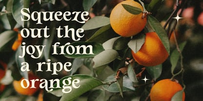 Larolinea Font Poster 7