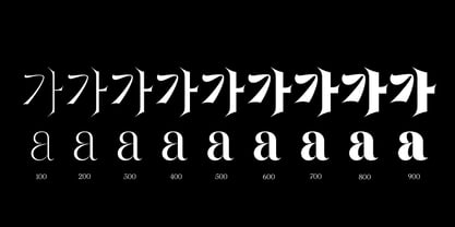 Spicyfit Font Poster 4