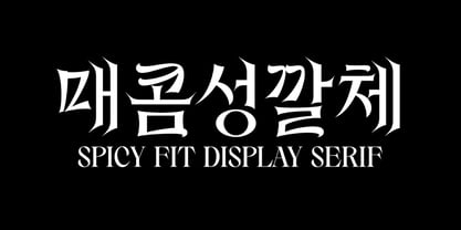Spicyfit Font Poster 1