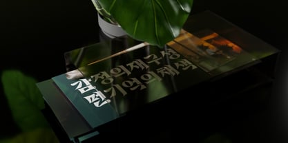 Spicyfit Font Poster 2