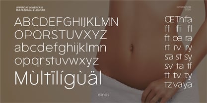 Elinos Font Poster 7