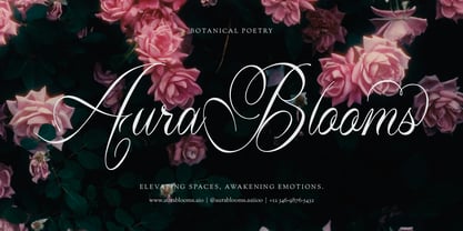 Lim Siendra Font Poster 3