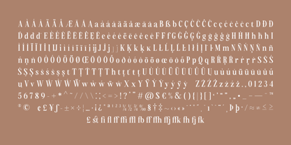 Mallone Font Poster 12