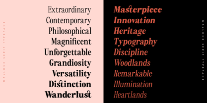 Mallone Font Poster 11