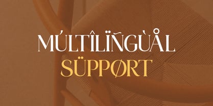 Pamfid Font Poster 6