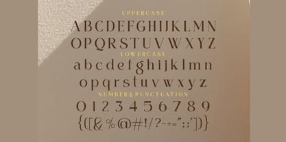 Pamfid Font Poster 9