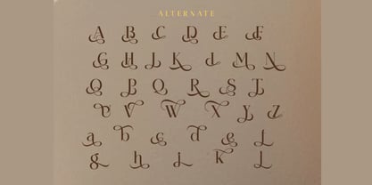 Pamfid Font Poster 7
