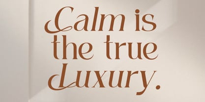 Pamfid Font Poster 12