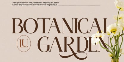 Pamfid Font Poster 5