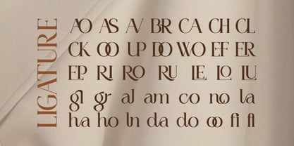 Pamfid Font Poster 4