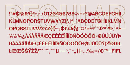 SFC Palmora Font Poster 6