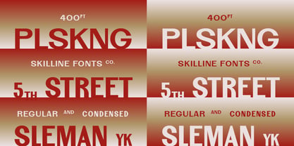 SFC Palmora Font Poster 5
