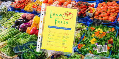 Summer Market Font Poster 6