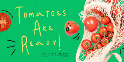 Summer Market Font Poster 2