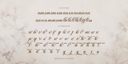 Royallique Font Poster 12