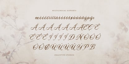 Royallique Font Poster 11