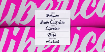 Stylenoir Script Font Poster 9