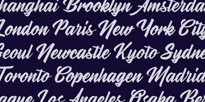 Stylenoir Script Font Poster 3
