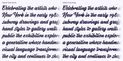 Stylenoir Script Font Poster 15