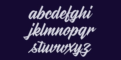 Stylenoir Script Font Poster 7