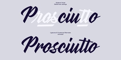 Stylenoir Script Font Poster 8